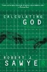 Robert J Sawyer, Robert J. Sawyer - Calculating God