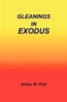 Arthur W. Pink - Gleanings in Exodus
