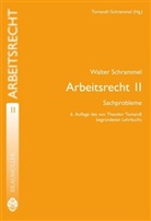 Walter Schrammel, Theodor Tomandl, Walter Schrammel, Theodor Tomandl - Arbeitsrecht (f. Österreich) - Bd.2: Sachprobleme
