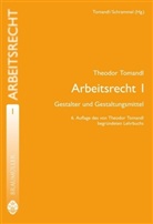 Walter Schrammel, Theodor Tomandl, Walter Schrammel, Theodor Tomandl - Arbeitsrecht (f. Österreich) - Bd.1: Gestalter und Gestaltungsmittel