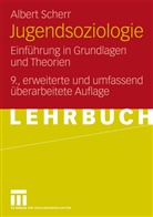 Albert Scherr - Jugendsoziologie