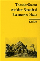 Theodor Storm, Freund, W Freund, Winfried Freund - Auf dem Staatshof. Bulemanns Haus