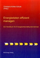 Bernd Gerwert, Andreas Gutsch, Peter Heine, Harald Heinrich, Yorck Fr. Jung, Christiana Köhler-Schute... - Energiedaten effizient managen