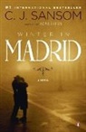 C. J. Sansom - Winter in Madrid