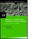 Lucila (Technical University of Catalonia Candela, Lucila Elorza Candela, Lucila Vadillo Candela, Lucila Candela, Lucila (Technical University of Catalonia Candela, Candela Lucila... - Advances in Subsurface Pollution of Porous Media Indicators,