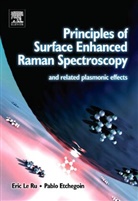Pablo Etchegoin, Pablo (Victoria University of Wellington Etchegoin, Pablo G. Etchegoin, Etchegoin Pablo, Eric Le Ru, Eric (Victoria University of Wellington Le Ru... - Principles of Surface-Enhanced Raman Spectroscopy