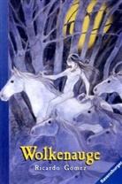 Ricardo Gómez - Wolkenauge