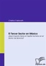 Christian Fastenrath - El Tercer Sector en México
