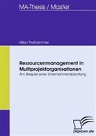 Kilian Thalhammer - Ressourcenmanagement in Multiprojektorganisationen