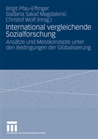 Birgit Pfau-Effinger, Sladan Sakac Magdalenic, Sladana Sakac Magdalenic, Christof Wolf - International vergleichende Sozialforschung
