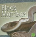 Van Wallach - Black Mambas