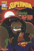 Blake Hoena, Blake A Hoena, Blake A. Hoena, Dan Schoening - Superman - Under the Red Sun