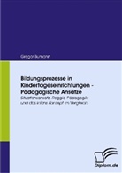 Gregor Bumann - Bildungsprozesse in Kindertageseinrichtungen - Pädagogische Ansätze
