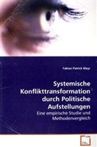 Fabian Patrick Mayr, Mayr Fabian Patrick - Systemische Konflikttransformation durch PolitischeAufstellungen
