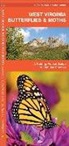 James Kavanagh, James/ Leung Kavanagh, Waterford Press, Raymond Leung - West Virginia Butterflies & Moths