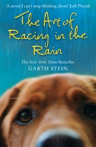 Garth Stein, Stein Garth - The Art of Racing in the Rain