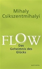 Mihaly Csikszentmihalyi - Flow