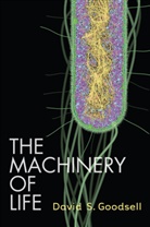 David S Goodsell, David S. Goodsell - The Machinery of Life