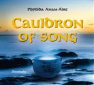 Phyllida Anam-Aire, Phyllida Anam-Áire - Cauldron of Song, 1 Audio-CD, Audio-CD (Audio book)