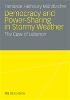 Tamirace Fakhoury Mühlbacher - Democratisation and Power-Sharing in Stormy Weather