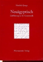 Friedrich Junge - Einführung in die Grammatik des Neuägyptischen