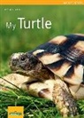 Hartmut Wilke - My Turtle