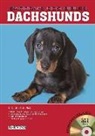 D. Caroline Coile, Caroline Coile Ph D, Caroline Coile Ph. D., D. Caroline Coile Ph.D. - Dachshunds
