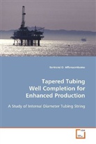 Bertrand O. Affanaambomo, Affanaambomo Bertrand O, Affanaambomo Bertrand O. - Tapered Tubing Well Completion for Enhanced Production