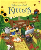 Lesley Danson, Fiona Watt - Hide and Seek Kittens