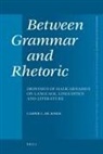 de Jonge, Casper de Jonge, Casper C. de Jonge, Casper Jonge, Casper Constantijn de Jonge - Between Grammar and Rhetoric