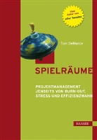 Tom DeMarco - Spielräume