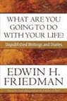 Edwin H Friedman, Edwin H. Friedman - What Are You Going to Do With Your Life?