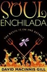 David Macinnis Gill - Soul Enchilada