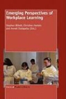 Stephen Billett, Anneli Etelapelto, Anneli Eteläpelto, Anneli Etelpelto, Christian Harteis - Emerging Perspectives of Workplace Learning
