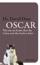David Dosa - Oscar