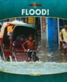Anita Ganeri - Flood