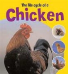 Ruth Thomson - Life Cycle of a Chicken