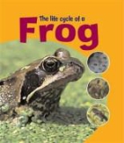 Ruth Thomson - Life Cycle of a Frog