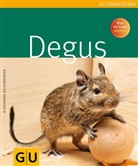 Alexandra Beisswenger - Degus