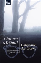 Christian Ditfurth, Christian v. Ditfurth, Christian von Ditfurth - Labyrinth des Zorns