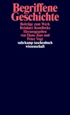 Han Joas, Hans Joas, Vogt, Vogt, Peter Vogt - Begriffene Geschichte