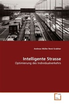 Andreas Müller, Müller Andreas - Intelligente Strasse