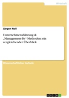 Jürgen Noll - Unternehmensführung & "Management-By"-Methoden: ein vergleichender Überblick