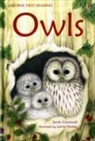 Sarah Courtauld, Lorna Hussey - Owls