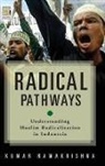 Kumar Ramakrishna, Kumar K. Ramakrishna - Radical Pathways