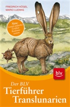 Friedrich Kögel, Mario Ludwig, Sandra Menke - Der BLV Tierführer Translunarien