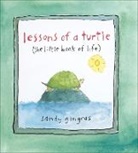 Sandy Gingras, Gingras Sandy - Lessons of a Turtle