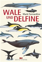 Mark Carwardine, Mark Cawardine - Wale und Delfine