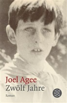 Joel Agee - Zwölf Jahre