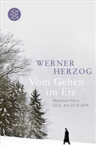 Werner Herzog - Vom Gehen im Eis